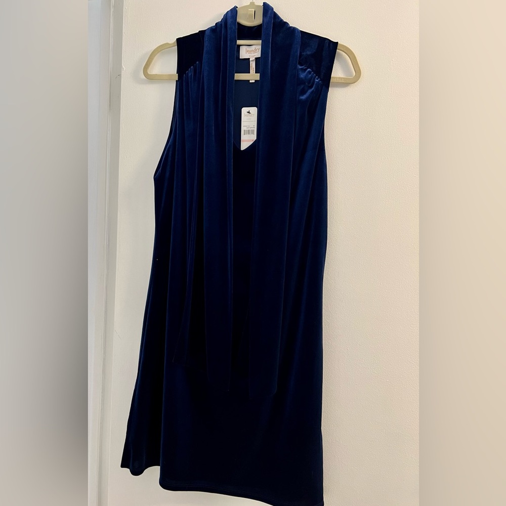 Women’s dress by Laundry. Velvet, fully lined. Sleeveless. Size 10